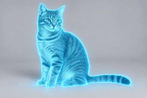 cat — Hologram