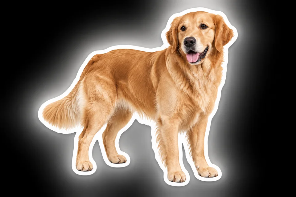 Die-cut sticker — dog